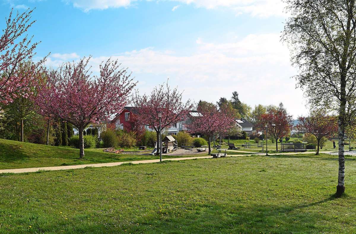 Der Bürgerpark bleibt grüne Lunge zwischen den Wohngebieten.