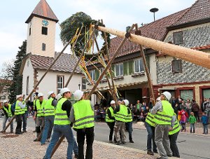 Die Schönbronner Dorfgemeinschaft stellte zum zweiten Mal den Maibaum in der Ortsmitte auf.  Foto: Priestersbach Foto: Schwarzwälder-Bote