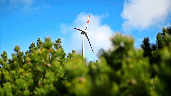 Teilregionalplan Windenergie: Manfred Walz prophezeit „Industriegebiet“ im Grömbacher Wald