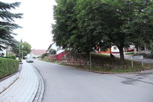 Einer der beiden Kastanien in direkter Nachbarschaft zum Dietinger Rathaus muss weichen. Foto: Schmidt Foto: Schwarzwälder Bote