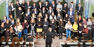 Rund 60 Ehemalige der Christophorus-Kantorei traten bei der Stunde der Kirchenmusik in der Altensteiger Stadtkirche auf. Foto: VEMC Foto: Schwarzwälder Bote
