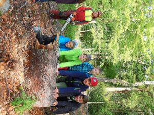 Einen Vormittag im Wald verbrachten die Grundschüler aus Besenfeld. Foto: Schule Foto: Schwarzwälder Bote