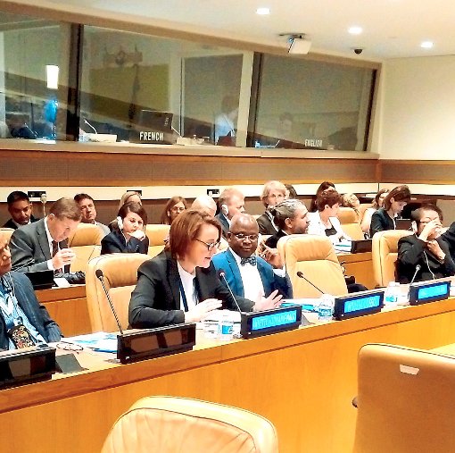 Die CDU-Bundestagsabgeordnete Annette Widmann-Mauz hat an der UN-Vollversammlung in New York teilgenommen.   Foto:  Agentur