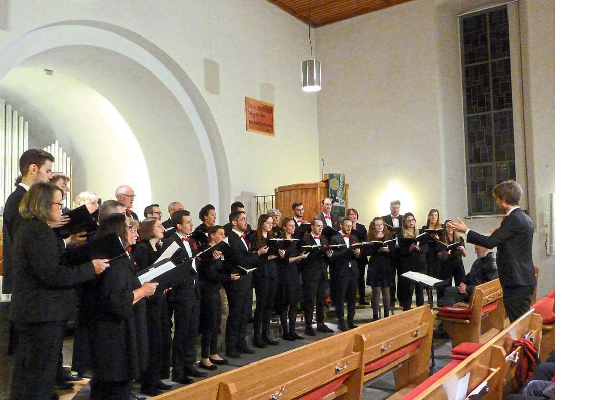 Das Altensteiger Vokalensemble erhielt für seinen Auftritt in der Johanneskirche Egenhausen vom Publikum stehende Ovationen. Foto: Maria Kosowska-Nemeth