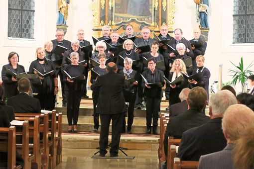 Der Kirchenchor Hausen am Tann meistert ein anspruchsvolles Konzertprogramm. Fotos: Meinert/Privat Foto: Schwarzwälder Bote
