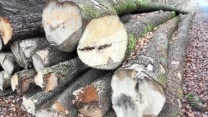 Forstamt bei Holzverkauf autonom