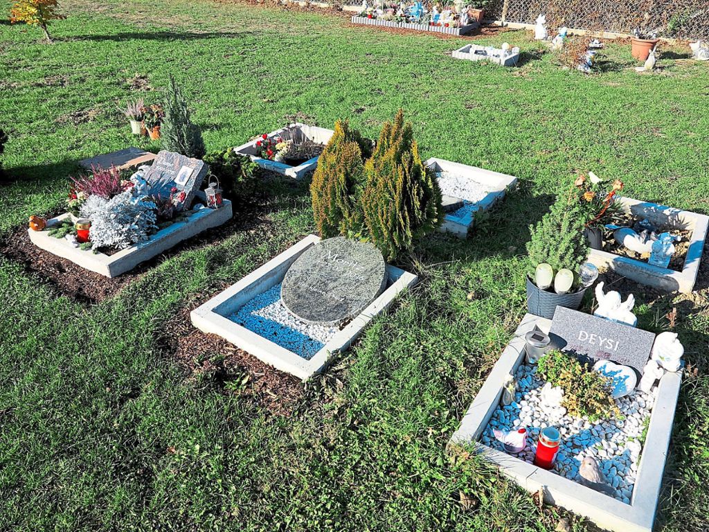 Mossingen Ruhestatte Fur Geliebte Haustiere Hechingen