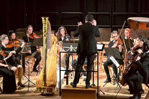 Die Studentenphilharmonie Tübingen und die Harfenistin Emilie Jaulmes boten ein wunderbares Konzert bei der Benefiz-Matinée im Theater im Kurhaus.  Foto: Lorek Foto: Schwarzwälder Bote