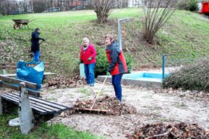 Städtische Mitarbeiter und weitere Freiwillige rechen   Laub weg im Waldsportbad. Foto: Schwarzwälder Bote