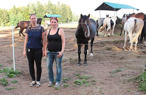 Pferdehalterin Katja Hahn-Heinze (links) und die Besitzerin der Pferdepension Miriam Wittum an der Weide, auf der die beiden Pferde verletzt wurden.  Foto: Wind