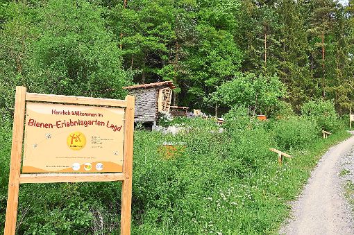 Ein neues Gesicht hat der Lehrbienenstand bei der Fischermühle: Der Verein Mellifera hat einen Bienenerlebnisgarten angelegt. Fotos: Bude/Mellifera Foto: Schwarzwälder-Bote