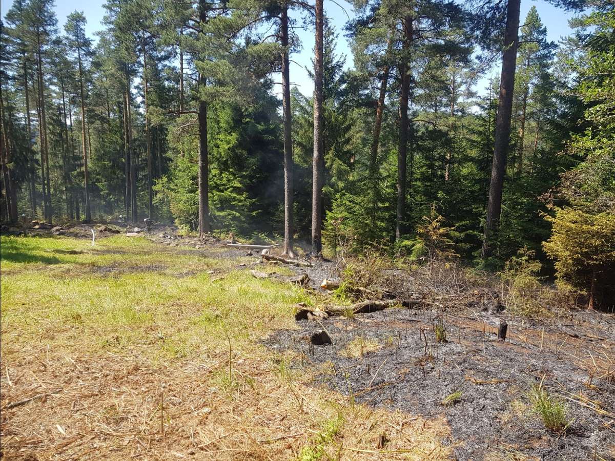 In Bad Wildbad hat es im Wald gebrannt. Foto: Kreisfeuerwehrverband Calw/Heiko Friedrich