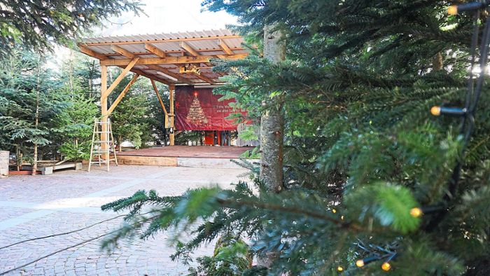 Hausacher Advent startet wieder mit Weihnachtswald