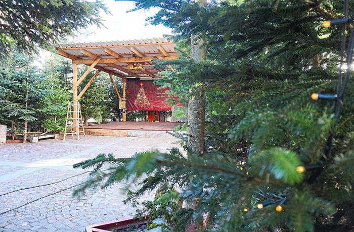 Nach zwei Jahren Pause: Hausacher Advent startet wieder mit Weihnachtswald