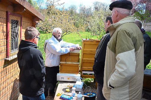 Wenn Richard Rossa die Bienensauna erklärt, sind auch erfahrene Imker-Kollegen beeindruckt. Foto: Wagner Foto: Schwarzwälder-Bote