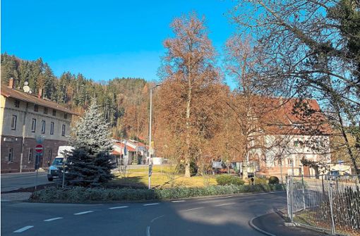 Für das Wildberger Sanierungsgebiet Zentrum Unterstadt soll im Januar der Satzungsbeschluss im Gemeinderat gefasst werden. Foto: Priestersbach