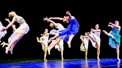 Die Jugendlichen der Lahrer Tanzschule haben mit eindrucksvoller Akrobatik gezeigt, was sie können. Foto: Baublies