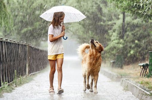 Wer einen Hund hat, muss auch bei Regen vor die Tür. Foto: Adobe Stock/Skrypko Ievgen