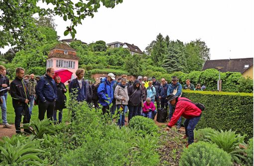 Im Anschluss an das Seminar überzeugten sich die Teilnehmer davon, wie in Ettenheim beim öffentlichen Grün für mehr Biodiversität gesorgt wird und wurde. Foto: Decoux