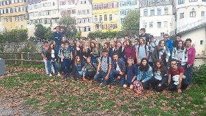 Die französischen Schüler ließen sich von ihren deutschen Kollegen vieles zeigen. Foto: Schule Foto: Schwarzwälder-Bote