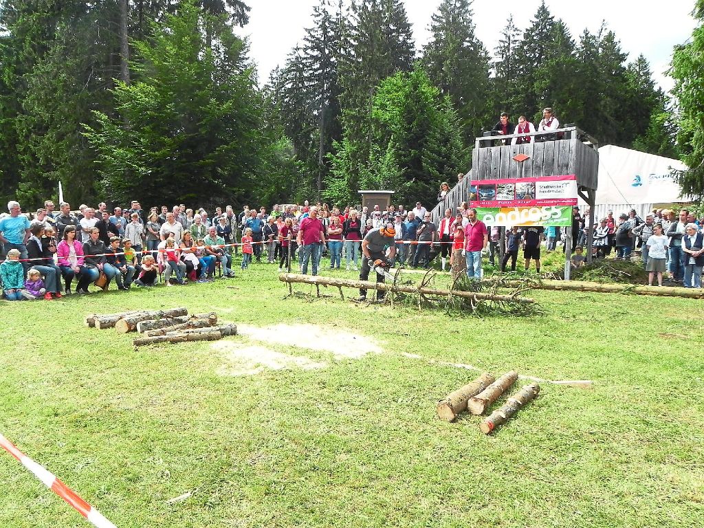 Viele Zuschauer verfolgten die elfte Besenfelder Brennholzmeisterschaft.  Fotos: Blaich