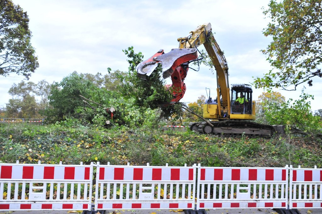 Stuttgart 21: Im Rosensteinpark fallen Bäume für S21