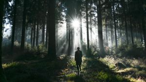 Sieben Tipps für ein sicheres Abenteuer im Schwarzwald