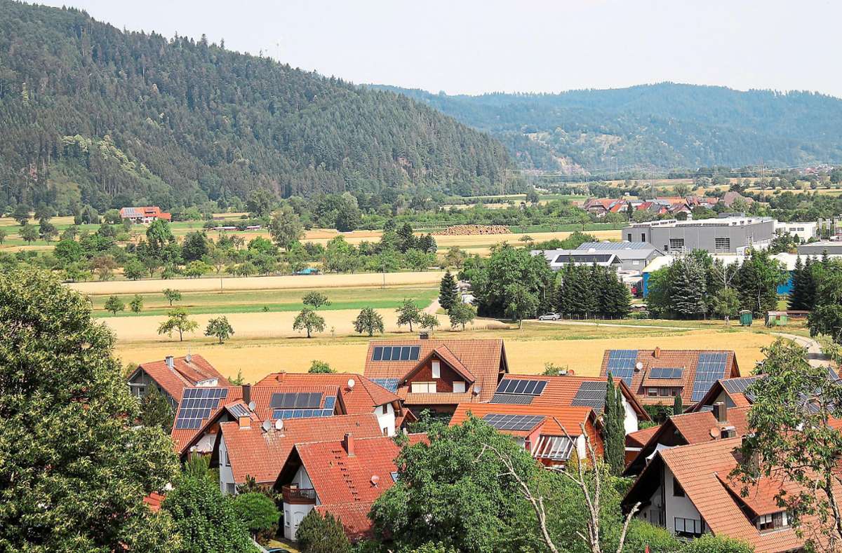Das Gewerbegebiet Interkom in Steinach soll erweitert werden. Foto: Störr
