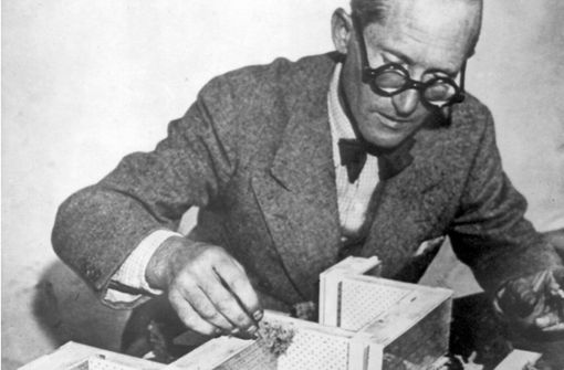 Der Architekt und Stadtplaner Le Corbusier propagierte die funktionale Entflechtung der Stadt. Foto: dpa
