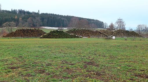 Noch liegt einiges Käferholz auf Halde.Foto: Zährl Foto: Schwarzwälder Bote