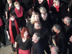 Wie beim Jahreskonzert 2014 wollen die Swing Singers wieder bestens vorbereitet sein. Foto: Archiv Foto: Schwarzwälder-Bote