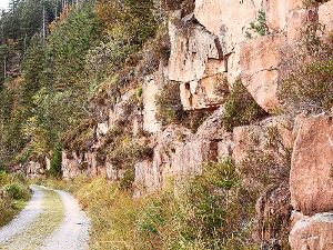 Vorbei am schönen Bundsandstein auf dem Vogelskopf führt die Tour mit Nationalparkleiter Thomas Waldenspuhl.  Foto: Kolb Foto: Schwarzwälder-Bote