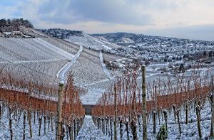 Idyllisch, wie der Schnee auf den Stuttgarter Weinbergen liegt. Foto: Leserfotograf siri1711