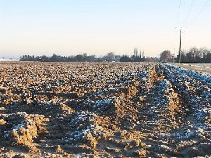 Der trockene Dezember bringt noch keine Probleme für die Landwirte mit sich.  Foto: Archiv