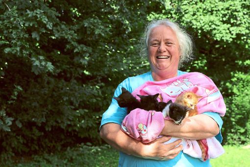 Kristina Stalder aus Grosselfingen mit ihren Babykatzen. Es gebe Menschen, die das Leben ihres Haustiers – auch unbewusst –  zur Hölle machen. Foto: Kauffmann
