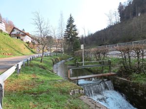 Die Hanglage in Gütenbach wirkt sich günstig auf die Regenentwässerung in die Bachläufe aus Foto: Gemeindeverwaltung Foto: Schwarzwälder Bote