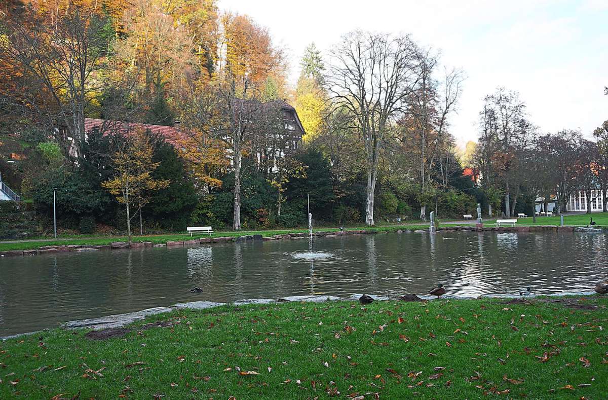 Der Kurparksee von Bad Liebenzell hat wieder frisches Wasser. Die Stadt hat in frisch ausgebaggert. Die prächtige Fontäne aber fehlt noch. Foto: Krokauer