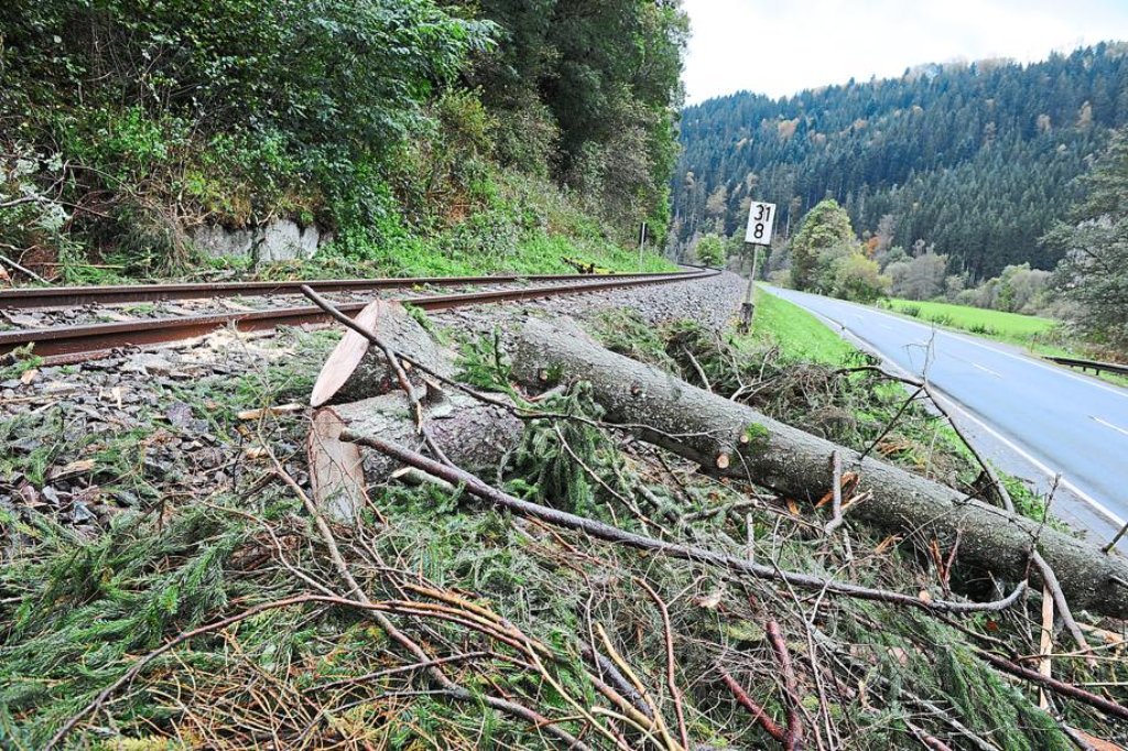 Ein Zug der Kulturbahn krachte bei Unterreichenbach in einen vom Sturm umgeworfenen Baum.