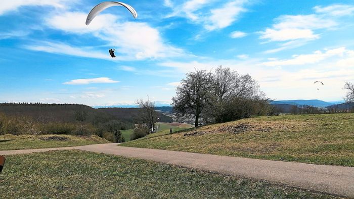 Gleitschirmflieger landet kurz nach Start in Baumkrone