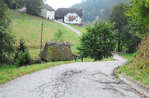Der Weg von der Kreisstraße zum Winterbauernhof wird erneuert. Foto: Ziechaus Foto: Schwarzwälder-Bote
