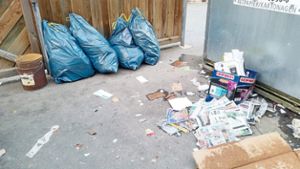 Wie vielerorts wird auch in Rexingen seit geraumer Zeit illegal Müll bei örtlichen Glas- und Papiercontainern entsorgt. Foto: Wagner