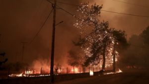 Behörden ermitteln wegen Brandstiftung an der Adria-Küste