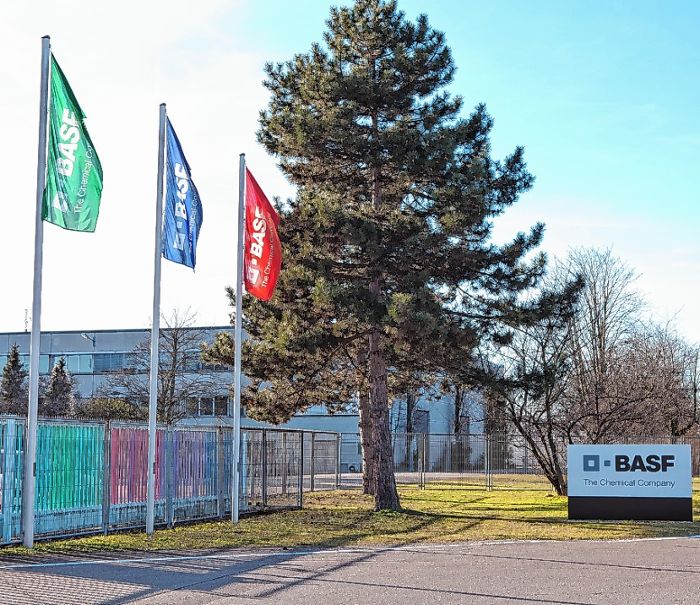 Grenzach Wyhlen BASF Soll Drei Studien Nachliefern Rheinfelden 