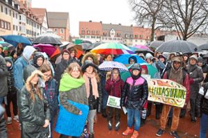 Bei der Demo für mehr Klimaschutz trotzten hunderte Schüler dem Wetter.   Fotos: Hebel Foto: Schwarzwälder Bote