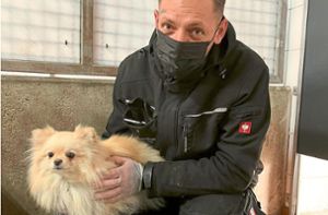 Stephan Götz vom Tierschutzverein Tübingen mit einem Hund aus der Ukraine. Foto: Götz/Tierheim Tübingen