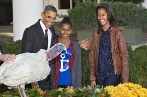 Gemeinsam mit seinen Töchtern Malia und Sasha entließ US-Präsident Barack Obama zwei Truthähne in die Freiheit - eine liebgewordene präsidiale Tradition an Thanksgiving. Foto: AP