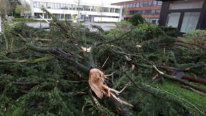 Umgestürzte Bäume auf dem Gelände eines Gymnasiums in Korschenbroich bei Mönchengladbach. Foto: David Young/dpa