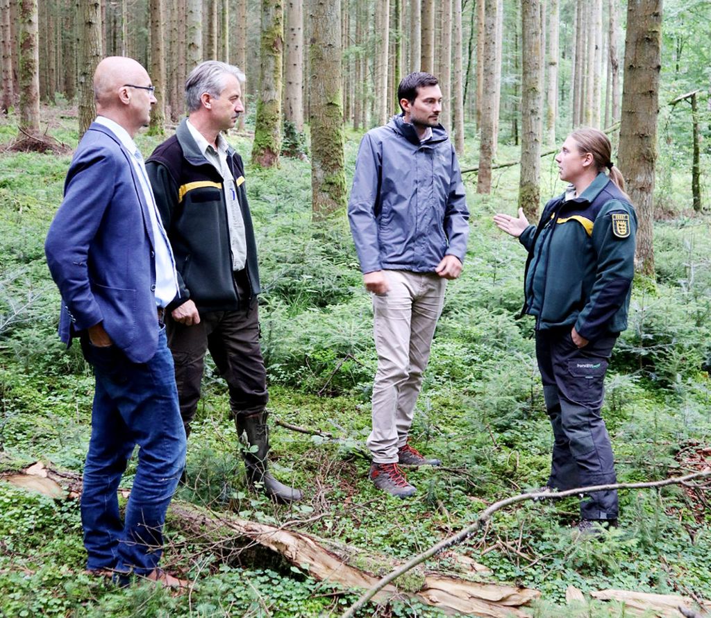 Hermann Kopp (von links), Bernd Unglaube, Daniel Karrais   und   Frauke Kleemann im Dunninger Wald Foto: FDP Foto: Schwarzwälder Bote