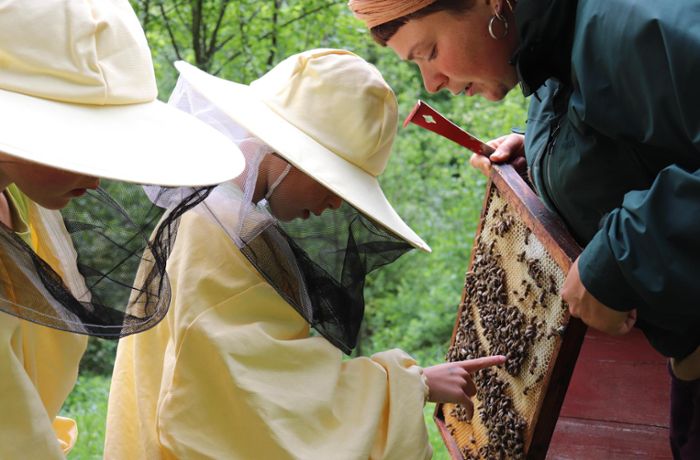 Oberndorfer Bienengarten: Verein ermöglicht wieder Begegnung mit der Natur