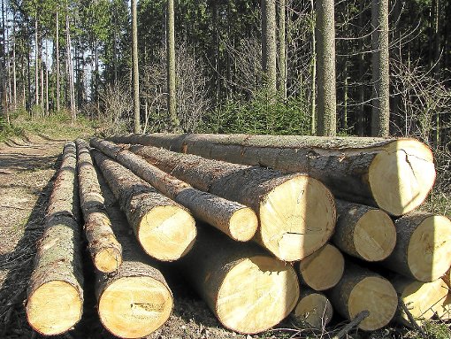 Der Holzpreis im Leitsortiment ist nach wie vor auf einem guten Niveau.  Foto: Störr Foto: Schwarzwälder-Bote
